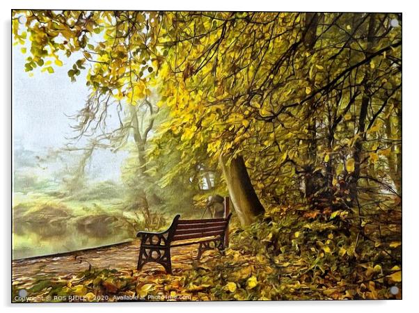 Take a seat in a misty wood Acrylic by ROS RIDLEY