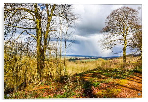  Autumn Rain over the Vale Acrylic by Brian Garner