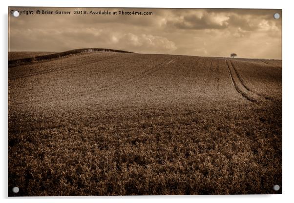 Sepia Undulating Field  Acrylic by Brian Garner