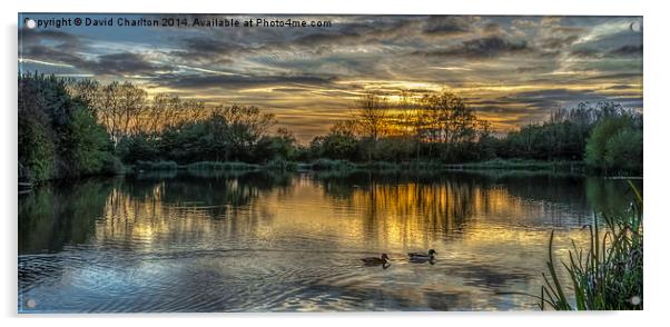  Waterside Sunset Acrylic by David Charlton