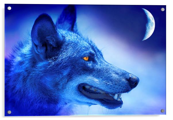  Blue Wolf Moon Fantasy Acrylic by Mal Bray