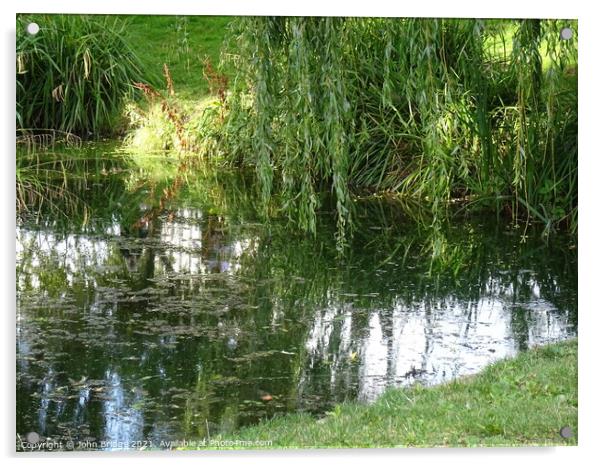 Reflections in Chalkwell Park Acrylic by John Bridge