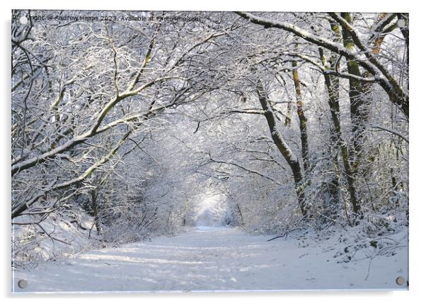 Enchanting Winter Wonderland Acrylic by Andrew Heaps