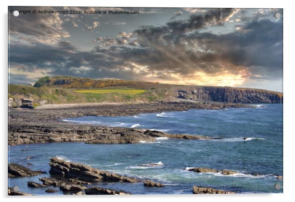 Northumberland Coastline Acrylic by Andrew Heaps