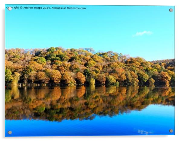 Autumnal colours by Tittersworth reservoir Acrylic by Andrew Heaps