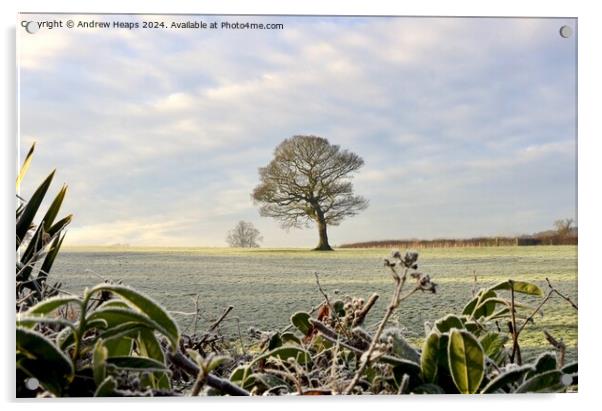 Winter frosty scene in morning. Acrylic by Andrew Heaps
