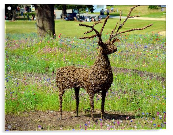 Majestic Cane Deer in Trentham Meadows Acrylic by Andrew Heaps