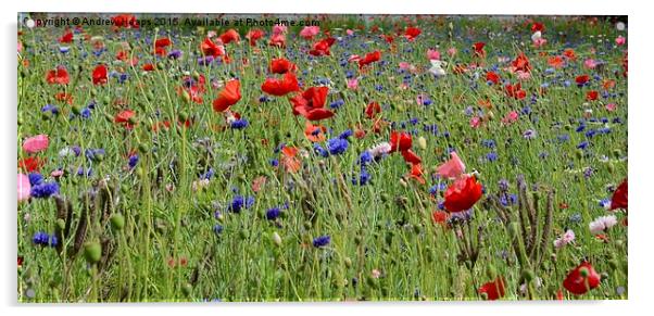 Wildflowers Dancing in Trenthams Meadow Acrylic by Andrew Heaps