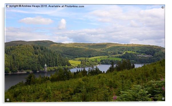  View over Lake Vyrnwy Acrylic by Andrew Heaps