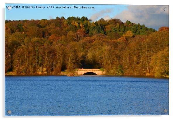 Autumn view of reservoir  lake in Staffordshire Acrylic by Andrew Heaps