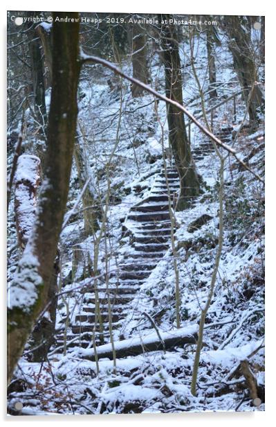 Snowy steps at country park. Acrylic by Andrew Heaps