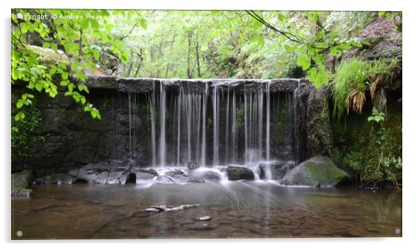 Waterfall at Knypersley pool Acrylic by Andrew Heaps