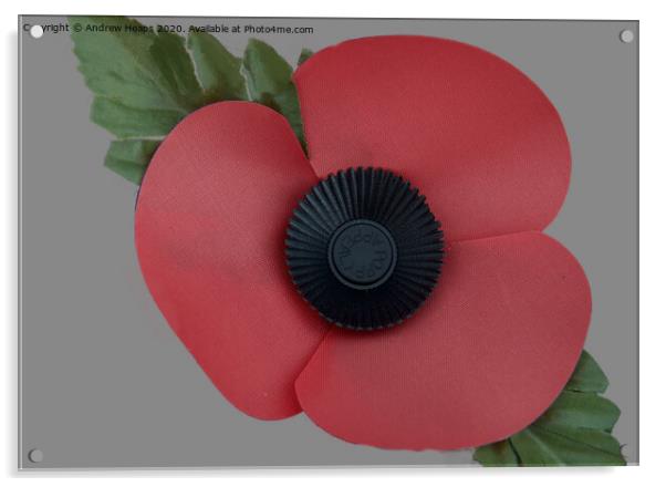 A single poppy a symbol of remembrance .  Acrylic by Andrew Heaps