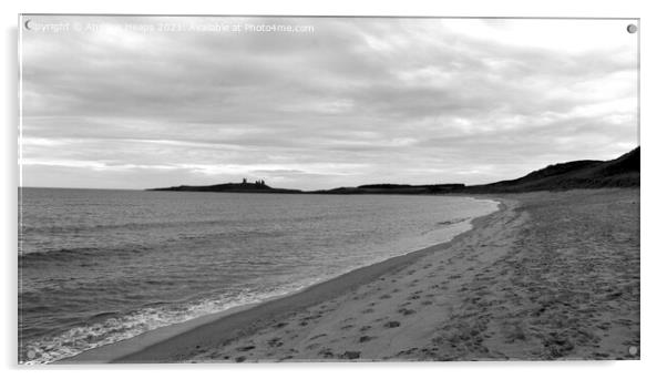 Northumberland coastal scene from Embleton beach Acrylic by Andrew Heaps