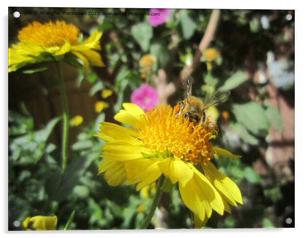 Vibrant Sunflower's Dance with a Bee Acrylic by Ali asghar Mazinanian