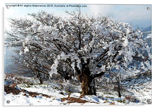 Beautiful iced trees, Acrylic by Ali asghar Mazinanian