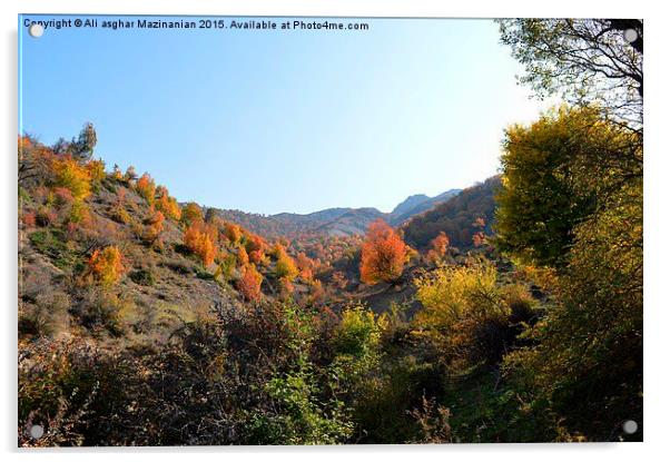 Autumn colors in jungle, Acrylic by Ali asghar Mazinanian