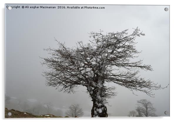 Iced tree on a misty day, Acrylic by Ali asghar Mazinanian