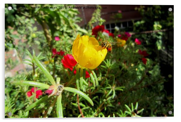 On a nice  yellow flower, Acrylic by Ali asghar Mazinanian