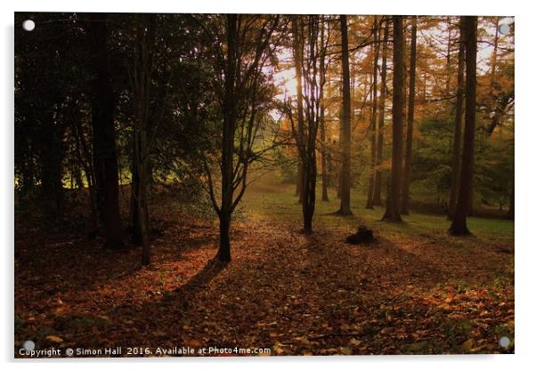 Autumn Woodland Acrylic by Simon Hall