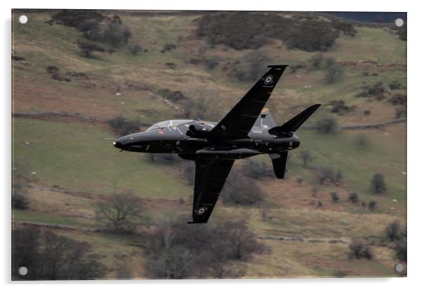 Hawk T2 in Wales Acrylic by Philip Catleugh