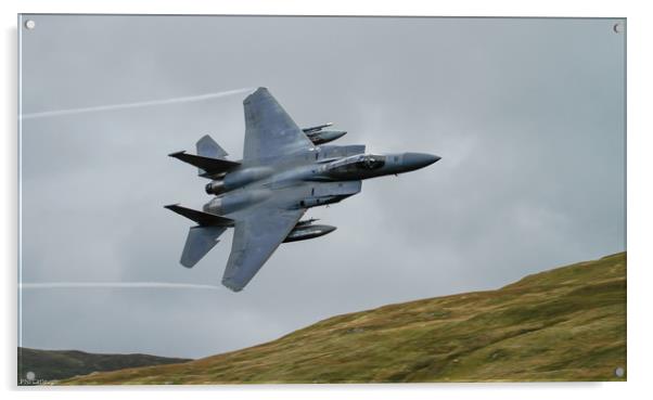 F15c Eagle low level in Wales  Acrylic by Philip Catleugh
