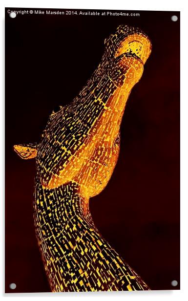  A Fiery Kelpie Acrylic by Mike Marsden