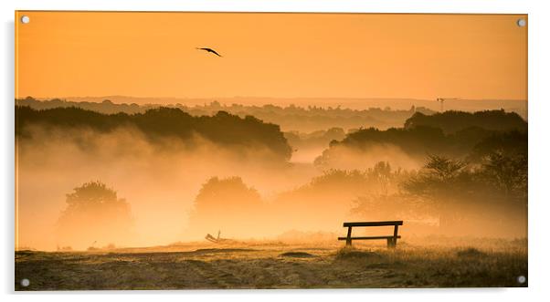 Foggy sunrise Acrylic by Inguna Plume