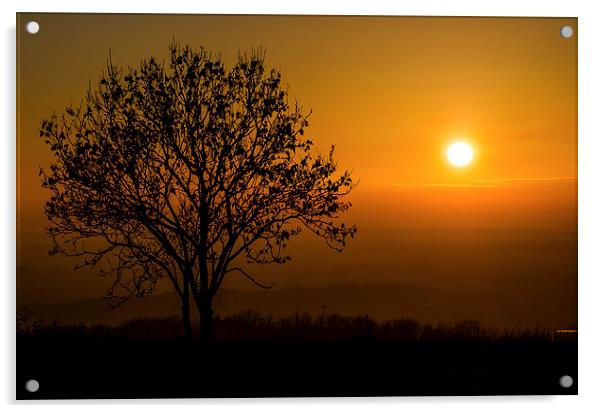  Sunset Tree Acrylic by Lee Wilson