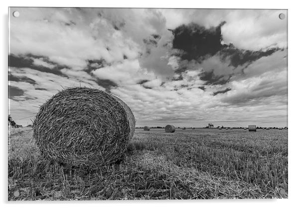  Bales Acrylic by Lee Wilson