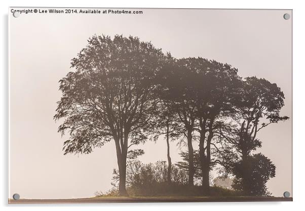  Morning Mist Acrylic by Lee Wilson