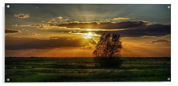  Thornham Fields Sunset Acrylic by Alan Simpson