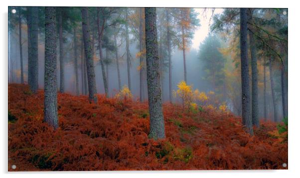 Balblair Forest Acrylic by Alan Simpson