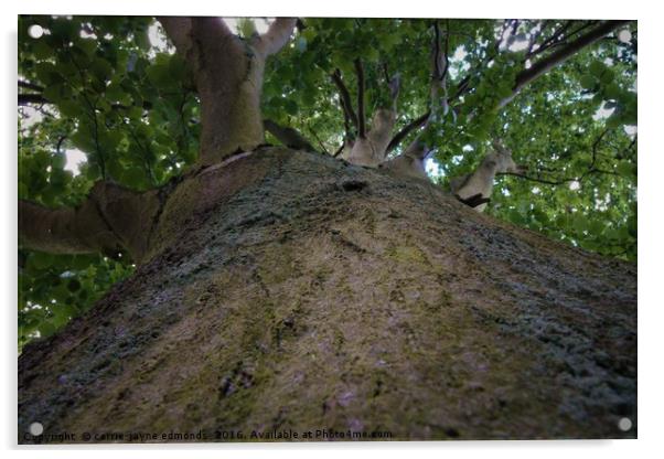 Up the tree, To see the world  Acrylic by cerrie-jayne edmonds