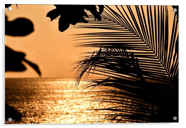 Costa Rica at Sunset Acrylic by Simon Hackett