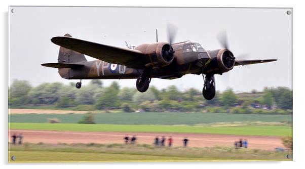  blenhiem taking off  Acrylic by Andy Stringer