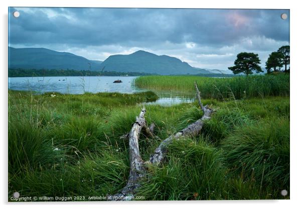Killarney lakes Acrylic by William Duggan