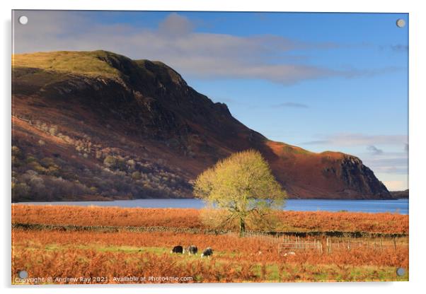 Autumn at Ennerdale Water Acrylic by Andrew Ray