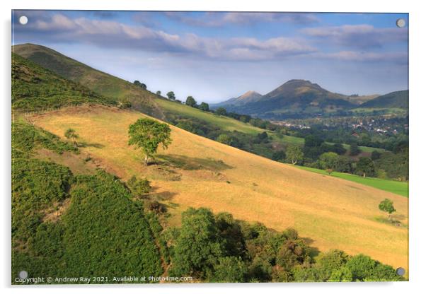 Shropshire Hills view Acrylic by Andrew Ray