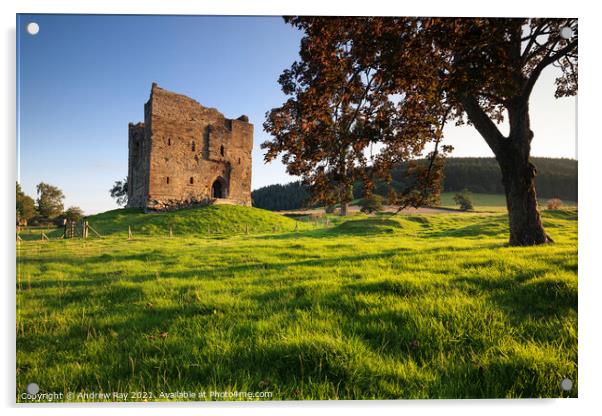 Evening light at Hopton Castle Acrylic by Andrew Ray