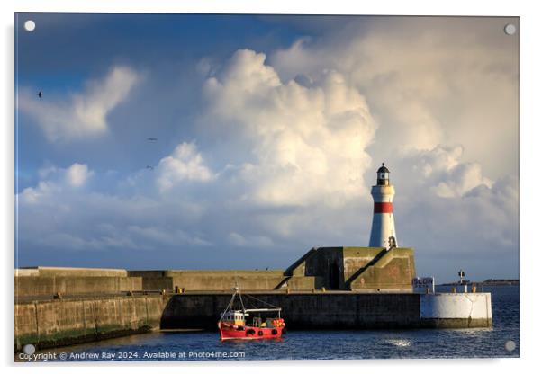 Fraserburgh Harbour Lighthouse Acrylic by Andrew Ray