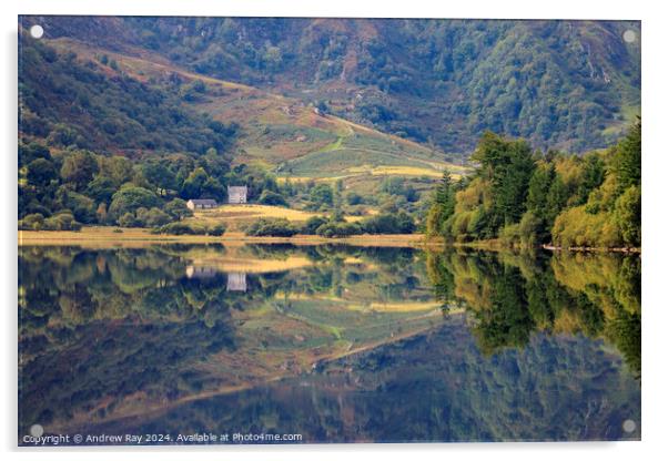 Llyn Crafnant reflections Acrylic by Andrew Ray