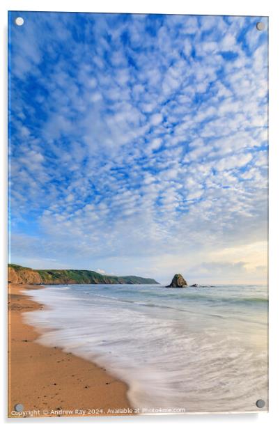 Cloud patterns (Widemouth Bay)  Acrylic by Andrew Ray