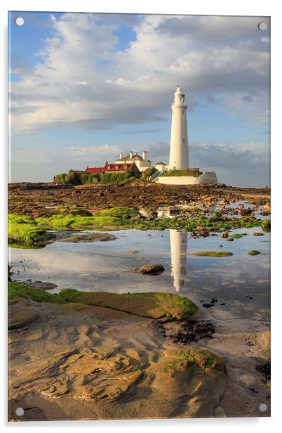 Low Tide at St Mary's Lighthouse  Acrylic by Andrew Ray