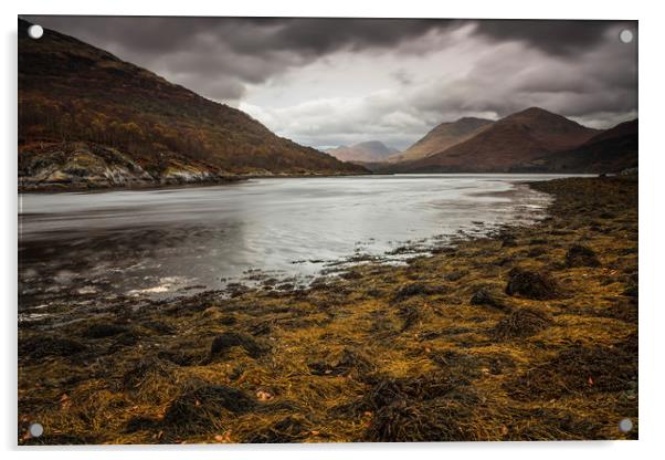 Loch Creran Acrylic by Andrew Ray