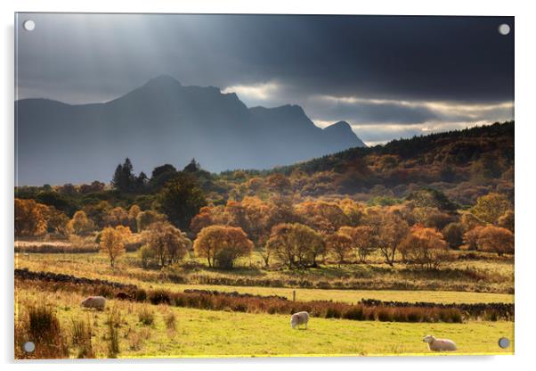 Light Shafts over Ben Loyal Acrylic by Andrew Ray