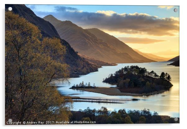 Late Light on the banks of Loch Shiel Acrylic by Andrew Ray