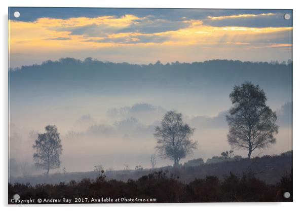 Misty Sunrise (Mogshade Hill Acrylic by Andrew Ray