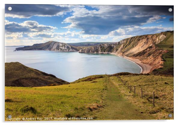 Worbarrow Bay Acrylic by Andrew Ray