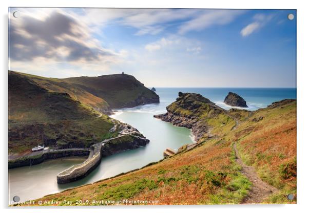Autumn above Boscastle Harbour Acrylic by Andrew Ray